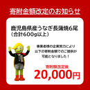 【数量限定】鹿児島県産うなぎ長蒲焼6尾　&nbsp;(合計600g以上)　&nbsp;鰻&nbsp;国産うなぎ蒲焼き&nbsp;たれ&nbsp;うな重&nbsp;ひつまぶし&nbsp;ウナギ&nbsp;蒲焼&nbsp;人気&nbsp;おすすめ&nbsp;鹿児島県&nbsp;大崎町&nbsp;A920