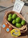 自然農グリーンレモンと自然農柑橘商品の詰め合わせセット