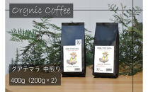 【福岡高砂】AND THE SOIL.オリジナル焙煎オーガニックコーヒー豆GUA　中煎り400g