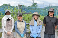 【2026年&nbsp;予約受付】&nbsp;樹上完熟&nbsp;フレッシュ&nbsp;生ブルーベリー&nbsp;（無農薬・殺虫剤不使用）&nbsp;500g&nbsp;（125g×4）|&nbsp;ブルーベリー&nbsp;加工品等&nbsp;ジャム&nbsp;くだもの&nbsp;フルーツ&nbsp;果物&nbsp;食品&nbsp;樹上完熟&nbsp;フレッシュ&nbsp;国産&nbsp;スイーツ&nbsp;材料&nbsp;デザート&nbsp;パイ&nbsp;ケーキ&nbsp;トッピング&nbsp;朝食&nbsp;サラダ&nbsp;ヨーグルト&nbsp;お菓子&nbsp;健康&nbsp;栄養価&nbsp;自然&nbsp;食材&nbsp;金沢市&nbsp;石川県&nbsp;旬&nbsp;収穫&nbsp;新鮮&nbsp;甘い&nbsp;甘酸っぱい&nbsp;果実