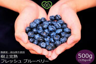 樹上完熟 フレッシュ ブルーベリー （無農薬・殺虫剤不使用） 500g （125g×4）ブルーベリー 加工品等 ジャム くだもの フルーツ 果物 食品 樹上完熟 フレッシュ 国産 スイーツ 材料 デザート パイ ケーキ トッピング 朝食 サラダ ヨーグルト お菓子 健康 栄養価 自然 食材 金沢市 石川県 旬 収穫 新鮮 甘い 甘酸っぱい 果実