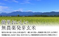 令和5年・新潟県産｜JAS有機栽培アイガモ農法 コシヒカリ 発芽玄米 2kg