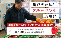 【定期便10回Sサイズ】&nbsp;フルーツ&nbsp;セット&nbsp;定期便&nbsp;(&nbsp;約3&nbsp;～&nbsp;5品&nbsp;×&nbsp;10ヶ月&nbsp;)&nbsp;｜産直あきんど&nbsp;香川産&nbsp;四季のフルーツ&nbsp;創業100年