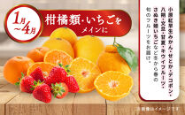 【定期便10回Sサイズ】&nbsp;フルーツ&nbsp;セット&nbsp;定期便&nbsp;(&nbsp;約3&nbsp;～&nbsp;5品&nbsp;×&nbsp;10ヶ月&nbsp;)&nbsp;｜産直あきんど&nbsp;香川産&nbsp;四季のフルーツ&nbsp;創業100年