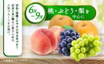 【定期便10回Sサイズ】&nbsp;フルーツ&nbsp;セット&nbsp;定期便&nbsp;(&nbsp;約3&nbsp;～&nbsp;5品&nbsp;×&nbsp;10ヶ月&nbsp;)&nbsp;｜産直あきんど&nbsp;香川産&nbsp;四季のフルーツ&nbsp;創業100年