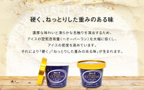 アイス バニラ 6個 シンカンセンスゴイカタイアイス