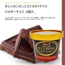 シンカンセンスゴイカタイアイス（ベルギーチョコ）6個入り