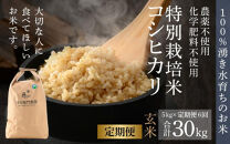 【令和6年産 新米】《定期便6回》伊与衛門農園のコシヒカリ 玄米 5kg （計30kg）特別栽培米 化学肥料不使用  ＜温度と湿度を常時管理し新鮮米を出荷！＞／ 高品質 鮮度抜群 福井県あわら産 ブランド米 お米