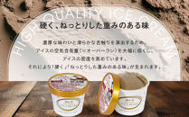 アイス モカ 11個 シンカンセンスゴイカタイアイス | アイス アイスクリーム 新幹線すごいアイス 硬いアイス 詰め合わせ 濃厚 食べ応え コーヒー風味 バニラ チョコレート 人気 おすすめ 冷たいデザート 夏ギフト プレゼント 洋菓子 甘味 おしゃれ 送料無料