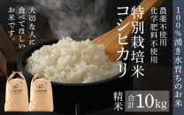 【令和6年産 新米】伊与衛門農園のコシヒカリ 精米 10kg 特別栽培米 5kg×2袋 化学肥料不使用 ＜温度と湿度を常時管理し新鮮米を出荷！＞／ 高品質 鮮度抜群 福井県あわら産 ブランド米 白米 お米