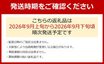 農家直送 3色ぶどう詰め合わせ贅沢セット 約3kg入り ［2026年・先行予約］