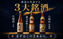 新潟有名酒と純米大吟醸入り！10種類飲み比べ720ml×10本