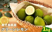 【期間限定】産地直送　グリーンレモン　約1kg
