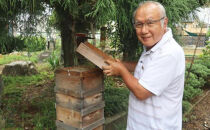 日本蜜蜂のハチミツ100％！はちみつ1.2kg  高級 自然食品 無添加 ニホンミツバチ