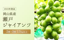 GJ31 【2023年発送】岡山県産　瀬戸ジャイアンツ　2房～３房　（1.5kg以上）