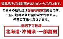 ＜4月より発送＞厳選 セミノールオレンジ2.5kg+75g（傷み補償分）【有田の春みかん】【有田産】【光センサー食べ頃出荷】