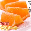 ＜4月より発送＞家庭用 セミノールオレンジ3kg+90g（傷み補償分）【有田の春みかん】【有田産】【光センサー食べ頃出荷】【わけあり・訳あり】