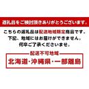 ＜6月発送＞厳選 紀州南高梅(青梅)1.7kg+60g（傷み補償分）