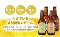 【定期便3ヶ月】屋久島・地ビール Catch the Beerおまかせビール3種6本セット