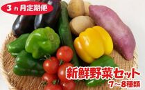 RK113【３ヶ月定期】７～８種類　野菜セット（ゆずみそ・ポン酢・ゆず果汁）
