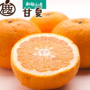 厳選&nbsp;甘夏柑10kg+250g（傷み補償分）［初夏のみかん・旬の果物］［有田産］［光センサー食べ頃出荷］［IKE73］
