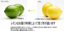 和歌山産レモン/グリーンレモン 3kg 【国産レモン】