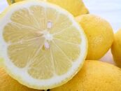 和歌山産レモン/グリーンレモン 3kg 【国産レモン】