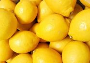和歌山産レモン/グリーンレモン 4kg 【国産レモン】