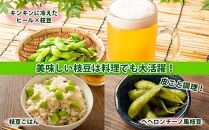 【予約販売】令和7年産 枝豆 500g×2袋 計1kg えだまめ 豆 つまみ おつまみ 酒の肴 晩酌 酒 ビール おやつ おかず 豆ごはん 冷蔵 越季 新潟県 南魚沼市