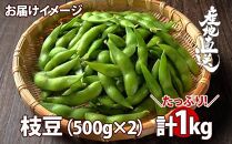 【予約販売】令和7年産 枝豆 500g×2袋 計1kg えだまめ 豆 つまみ おつまみ 酒の肴 晩酌 酒 ビール おやつ おかず 豆ごはん 冷蔵 越季 新潟県 南魚沼市