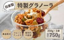 自家製 フルーツグラノーラ 250g×3袋（計750g）《配合や素材にこだわり1つ1つ手作り！》／ オーガニック 果物 ドライフルーツ オートミール ヨーグルト 牛乳