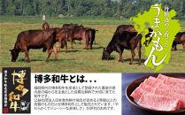 博多和牛生ハンバーグ 150g×6パック 合計900g