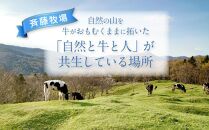 斉藤牧場の山地自然放牧 黒豆ソフトアイス 5個セット_01842