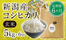 【定期便6ヵ月】新潟産コシヒカリ 玄米5kg×6回