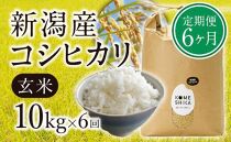 【定期便6ヵ月】新潟産コシヒカリ 玄米10kg×6回