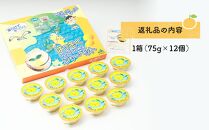 因島のはっさくシャーベット(未凍結）（75g×12個）