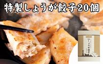 [ギョーザ専門店イチロー] 神戸味噌だれ餃子2種（計40個）食べ比べセット