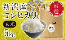 新潟産コシヒカリ  玄米5kg