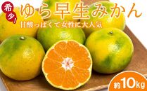 ◆先行予約◆甘酸っぱくて女性に大人気の希少なゆら早生YN-26みかん&nbsp;約10kg／赤秀【2023年9月中旬以降出荷】