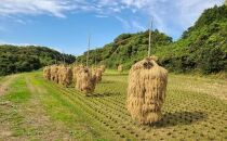 【白米18Kg】人気沸騰の米　令和6年産  岩手県奥州市産ひとめぼれ 白米 玄米も可 18kg（9kg×2）【７日以内発送】