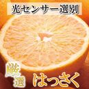 ＜4月より発送＞厳選 樹上完熟はっさく4kg+120g（傷み補償分）【八朔】【さつき・木成】