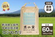 『定期便』新潟県上越市中郷区岡沢産 コシヒカリ 玄米20kg 3ヶ月毎全3回