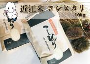 ◆【定期便・全3回】生産農家直売 高島市産 近江米コシヒカリ 10kg 精米済