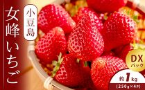 小豆島女峰いちご DXパック 約250g×4パック (1kg)