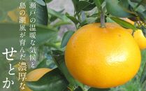 小豆島せとか 約3kg