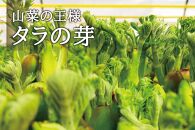 産地直送 朝採れ山菜 タラの芽 250g 山菜 天ぷら 天婦羅 パスタ 炒め物 お浸し 美味しい ご当地 取り寄せ 旬 料理 調理 ごはん 人気 おすすめ グルメ 食品 宮城