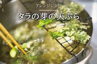 産地直送 朝採れ山菜 タラの芽 250g 山菜 天ぷら 天婦羅 パスタ 炒め物 お浸し 美味しい ご当地 取り寄せ 旬 料理 調理 ごはん 人気 おすすめ グルメ 食品 宮城