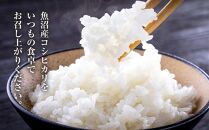 DH01 新潟県 魚沼産 コシヒカリ お米 5kg こしひかり  精米 米（お米の美味しい炊き方ガイド付き）
