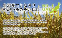 DH17 「無地熨斗」 新潟県 魚沼産 コシヒカリ お米 5kg こしひかり  精米 米（お米の美味しい炊き方ガイド付き）