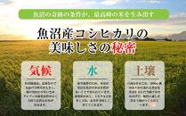 新潟県 魚沼産 コシヒカリ お米 5kg ＆ こしひかり パックごはん 5パックセット （お米の美味しい炊き方ガイド付き）